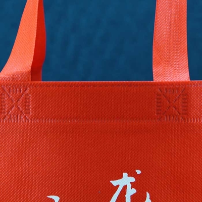 Zerreißen freundliche Tote Custom Printed Polypropylene Non gesponnene Taschen-Tragebeutel Eco beständiges