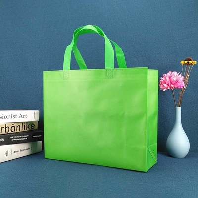 Grün-nicht gesponnene Schuh-Tasche Eco freundliche fördernde nicht gesponnene Einkaufstasche-50gsm