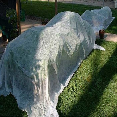 Landwirtschaftliches nichtgewebtes Gewebe 165gsm pp. Spunbond Breathable